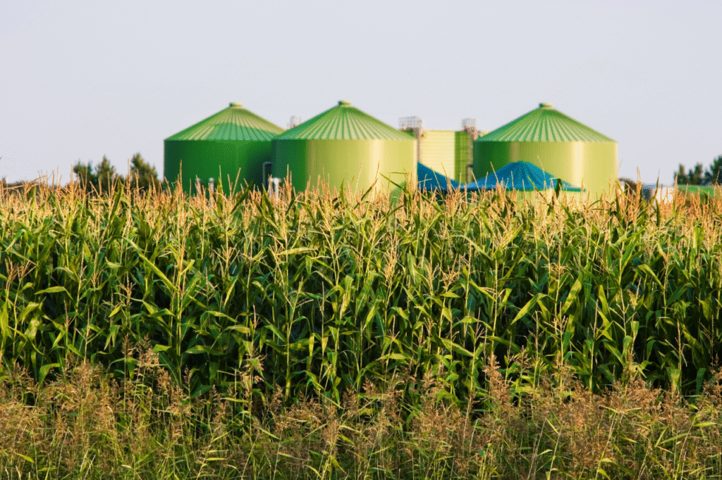Technologie produkcji biogazu krok po kroku – MSPM Biogaz